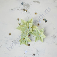 Цветы ручной работы из ткани Мини набор Пуансетии зеленые