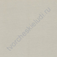 Кардсток текстурированный 30.5х30.5 см, плотность 216 гр/м, цвет Светло-серый