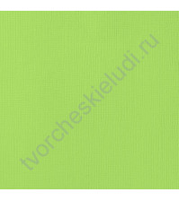 Кардсток текстурированный Лайм (Key Lime), 30.5х30.5 см, 216 гр/м2