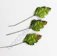 Листья шиповника зеленые 3,5х2,5 см, 10 шт