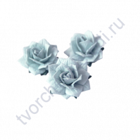 Цветы Жасмина 5 шт, цвет голубой